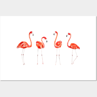 4 flamingos watercolor  painting Posters and Art